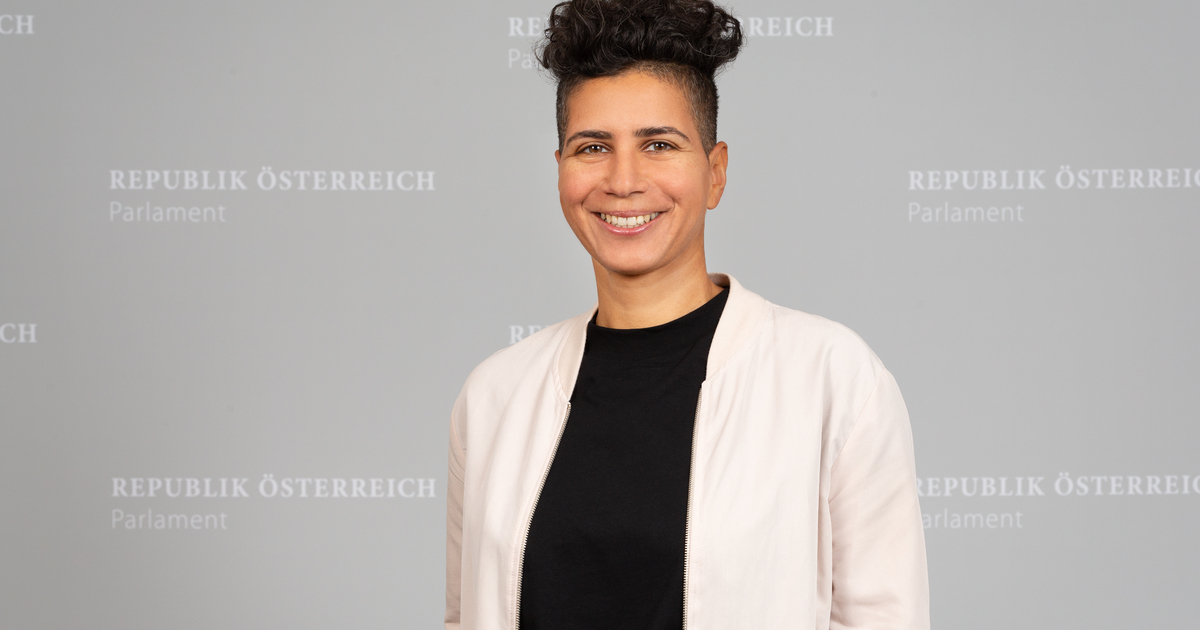 Statement zum 20. Juli 2023: Mag.a Faika El-Nagashi, Abgeordnete zum ...